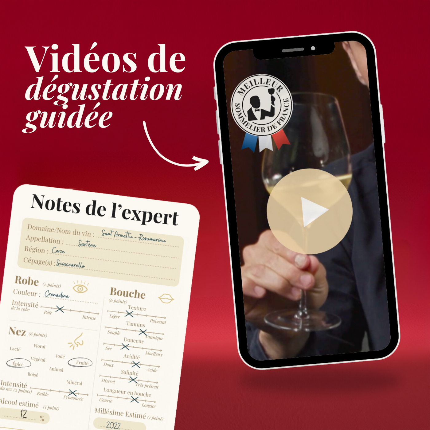 Calendrier de l'Avent Vin - 24 Vins de France et du Monde