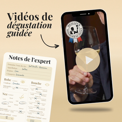 Calendrier de l'Avent Vin - 24 Vins de France et du Monde